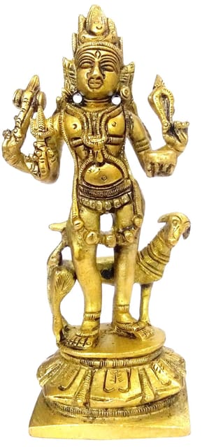 Brass Idol Kaal Bhairava (Mahakala Bhairav): Hindu Tantric Deity, Avatar of Siva (11843)